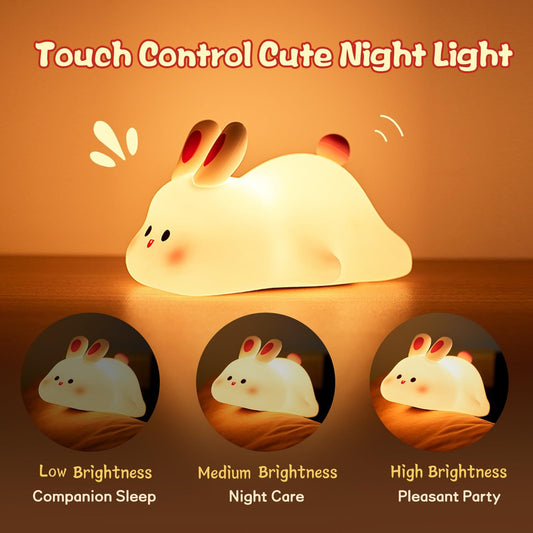 Touch control cute night light .
