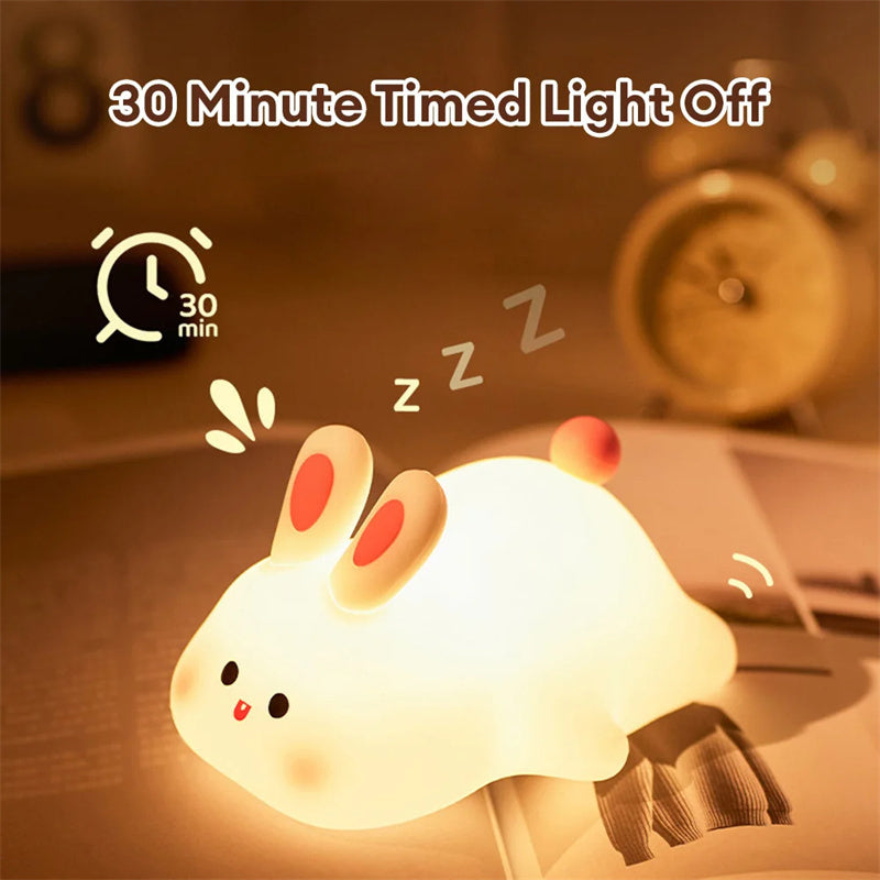 30 Minute Timed Light Off .