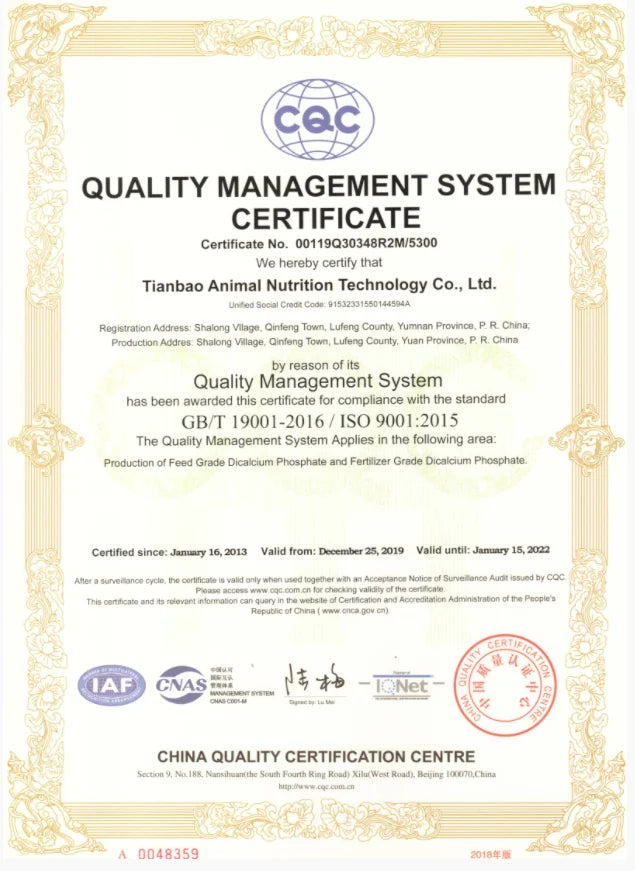 Gold Plated Beaded Surfer Bracelets Natural Pearl Charm Bracelet Handmade Fashion Summer Jewelry for Women Teen Girl Gift